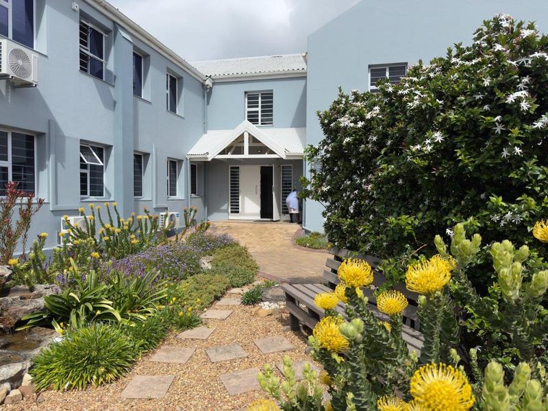 To Let commercial Property for Rent in Wynberg Western Cape